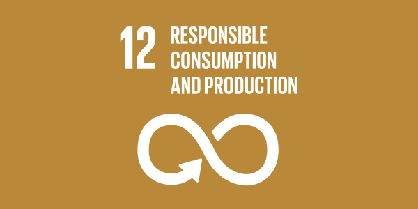 Goal Twelve: Responsible Consumption & Production